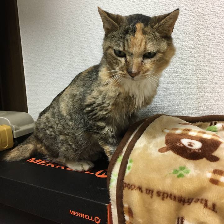 B30e0fd1 b9f4 4ab8 91b0 ac60b0a5d6b5 1580288422863