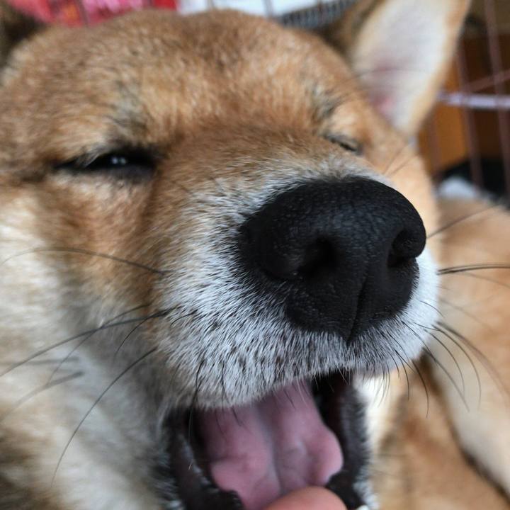 B30e17a9 9a76 402a bece 603f1540ff3a 1523422577560