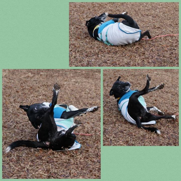 B30e31fb c57e 4895 b0f9 82f450f5b3b2 1770944204495