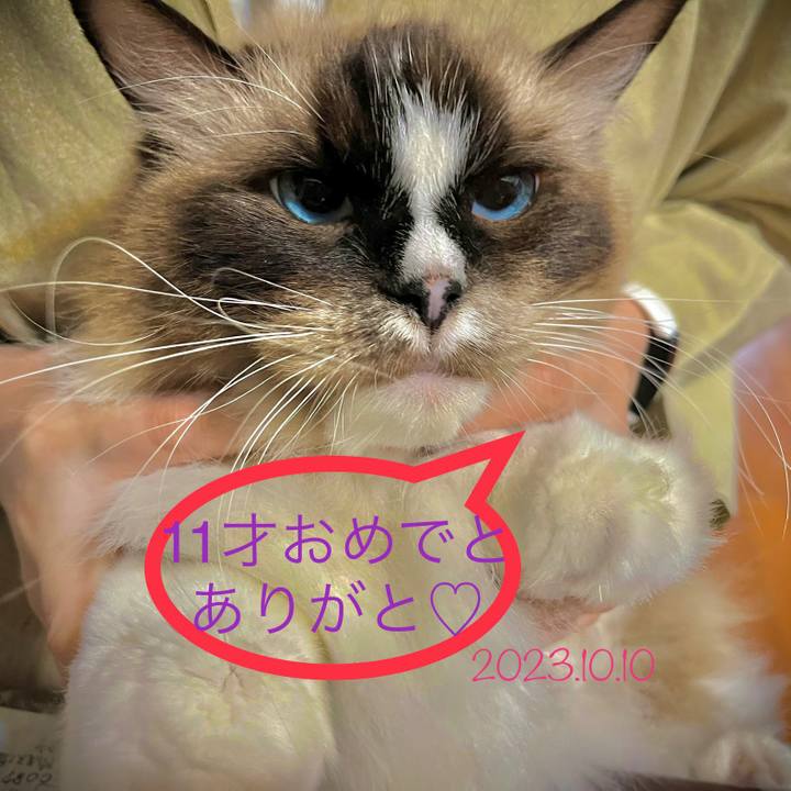 B30e5c60 17bb 4360 a733 223dd629cb7a 1696893523341