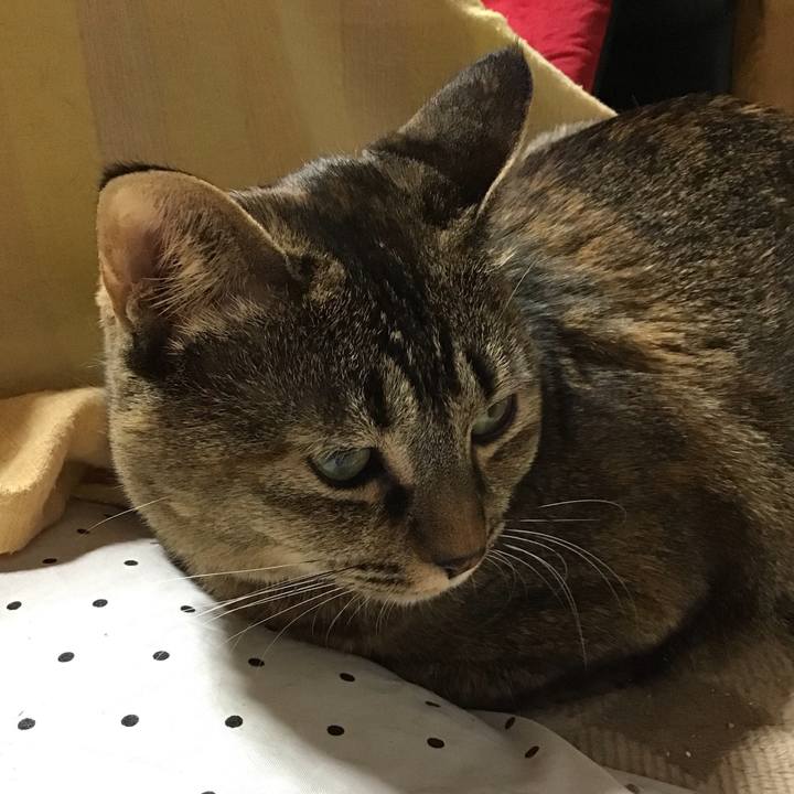 B30e5f06 608c 488e babf cef44a16fc18 1671800470014