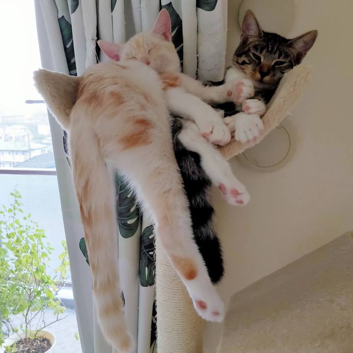 B30e9be7 5616 41b1 9237 51c141524c43 1630645629523