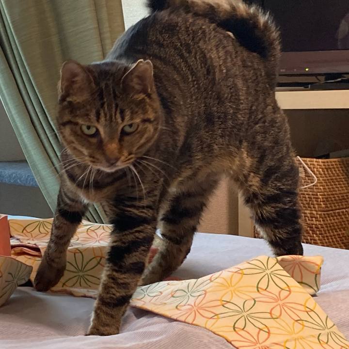 B30ea917 10d2 4475 8856 6f5e6e53803d 1658227429728