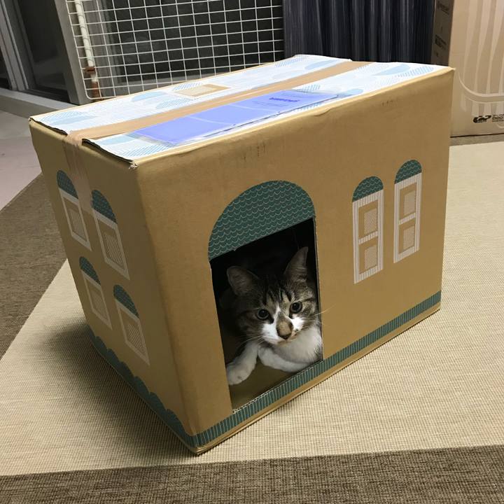 B30ec88a edde 4d29 9700 25f91a67ec7e 1550809875651