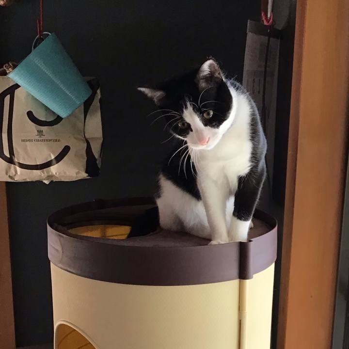 B30ed659 70d2 44f9 b86e f4d3d8ca4072 1638417415747