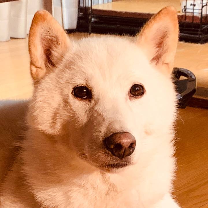 B30ee2fa f292 47c6 ba4e 1f568d7fb624 1565731160720