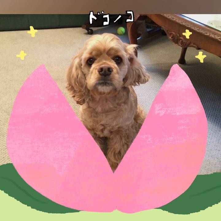 B30ee595 eda2 43f6 b13c 903d722f0613 1772022873794