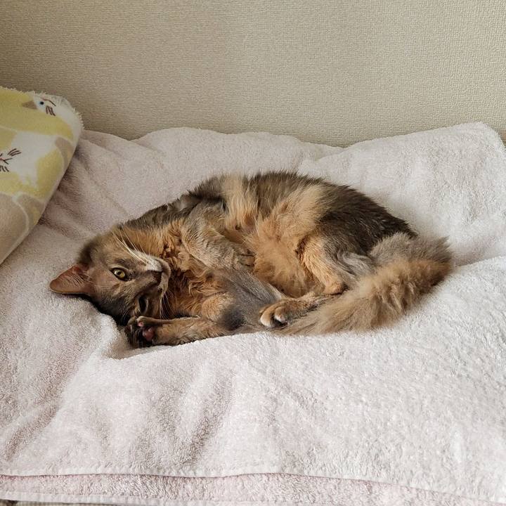 B30eee0e 3300 4c50 af41 0436a09397fe 1730000690602