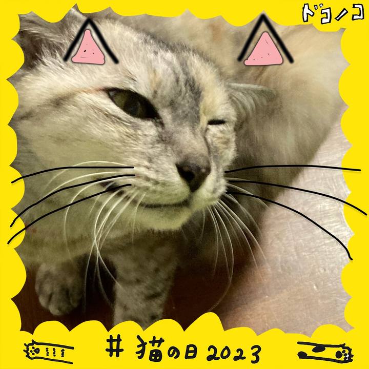 B30ef405 c67f 4f94 8f06 ecda64edf34e 1677053169155