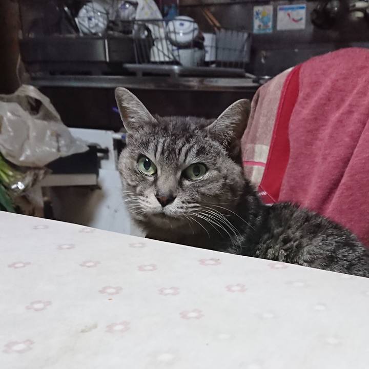 B30f0200 b1f5 4595 9657 c10bd5235e28 1578169509376