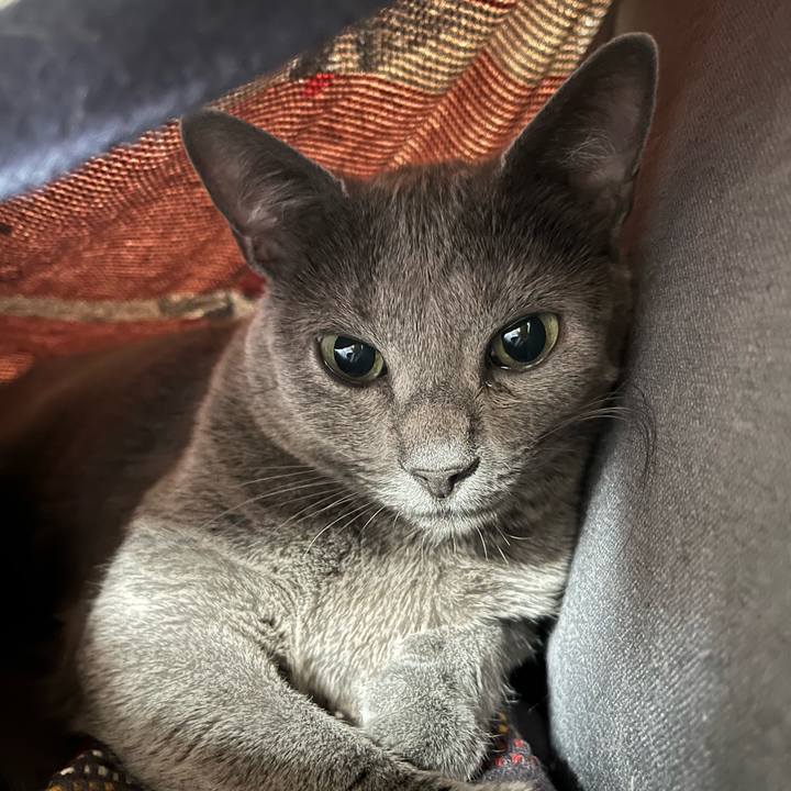 B30f2415 289b 40de a4c8 bbac052e8cbe 1760356618659