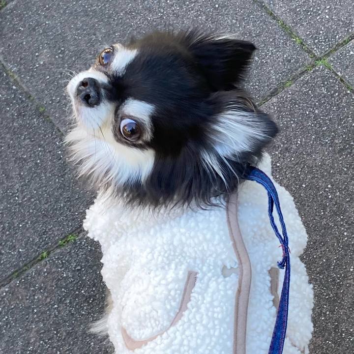 B30f3598 ec43 4811 830f f05bf4de41d9 1704692958757