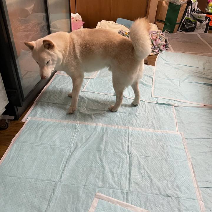 B30f3f57 8c96 4238 b615 078f70aa4848 1635693526492