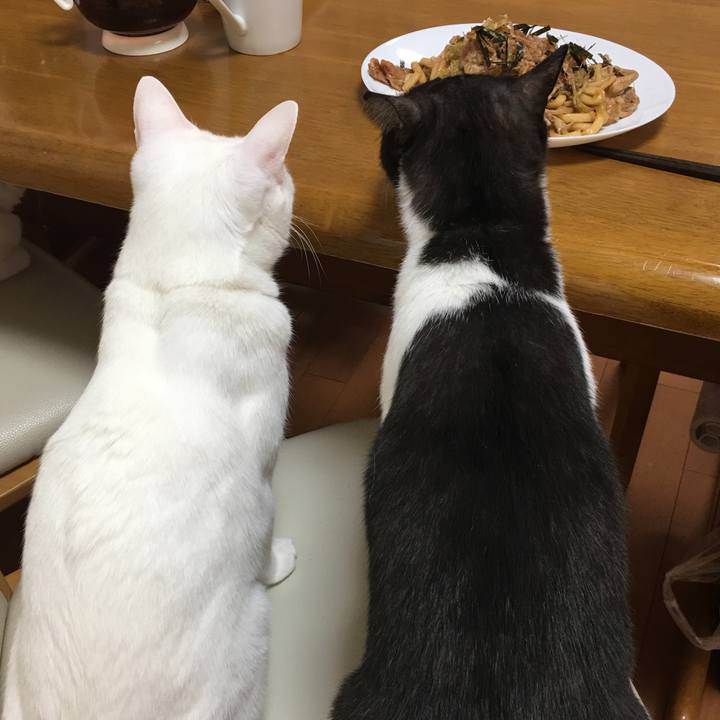 B30f4e51 d539 4914 a4a3 23b40d565b8a 1582304139855