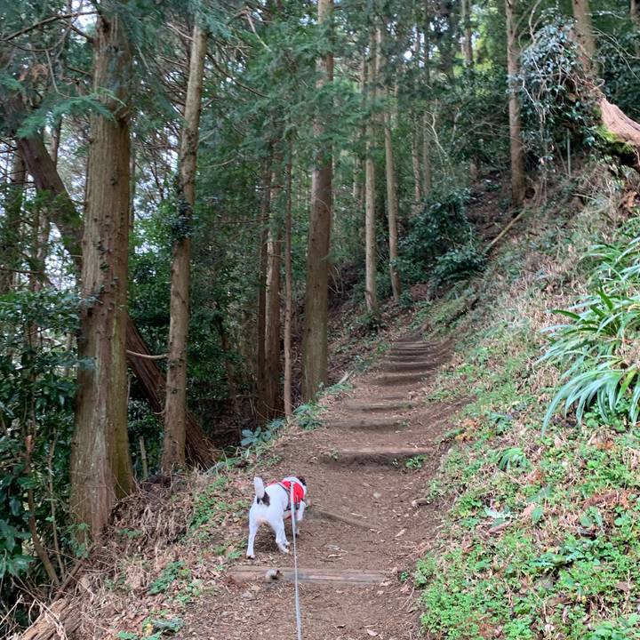 B30f636b 146f 4766 b211 c728f4293e51 1581747595774