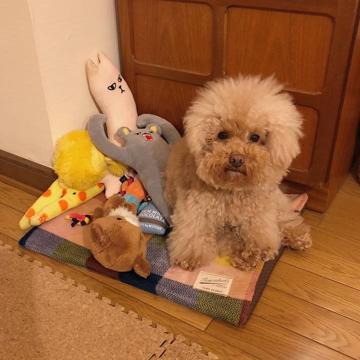 B30fafb8 0e4d 4202 9f97 80feb3a63d73 1542410548614