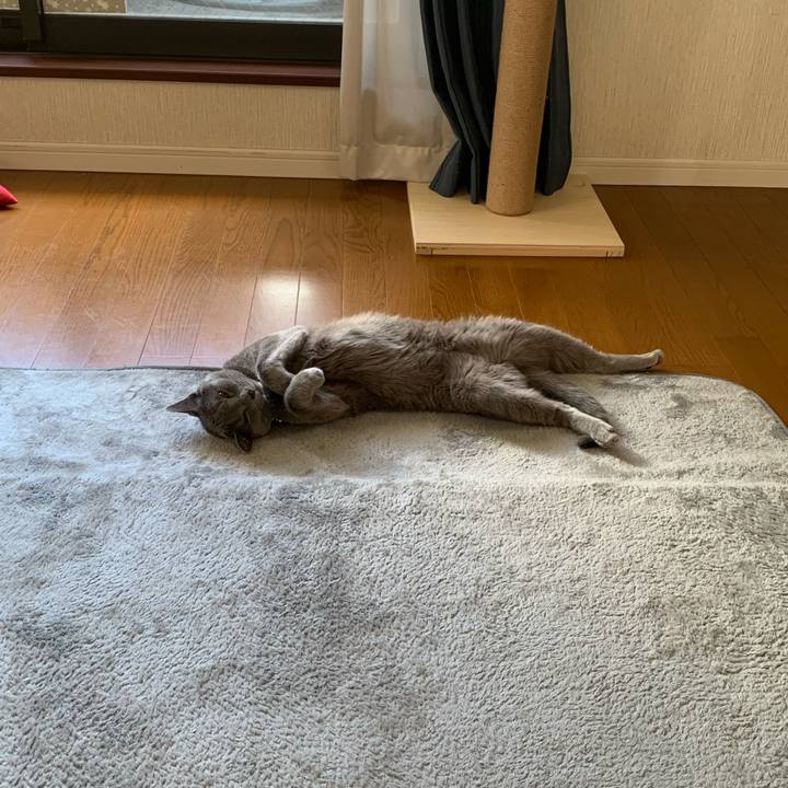 B30fb41b d3e3 4de6 b8f0 a2ad65cce311 1627948800564