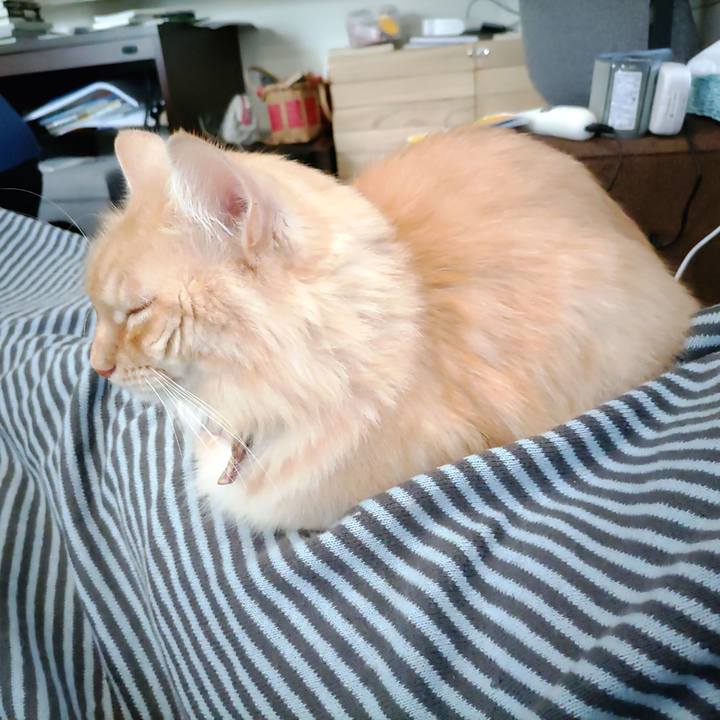 B30fba84 bb58 421a 917e f681fd2c3d1b 1697366346714