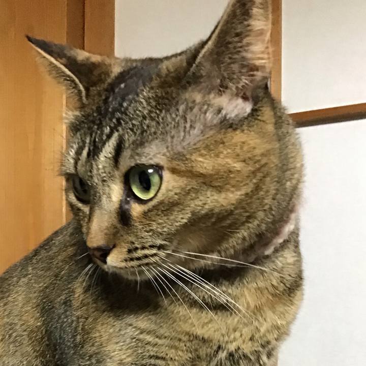 B30fbc50 af7f 4315 a49e e3665c643b4c 1669464489192