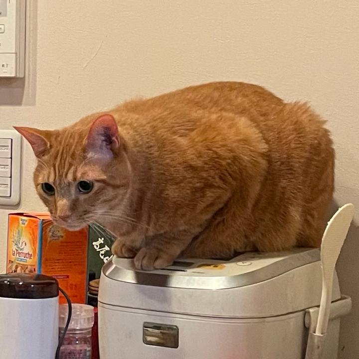 B30fc8bf d4b5 4f03 a27c 1f92f2138f5e 1708171409851