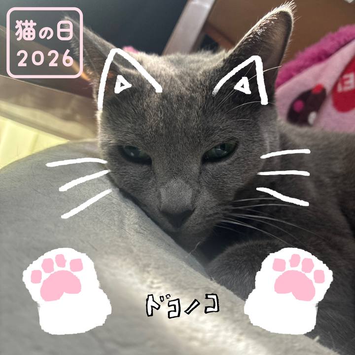 B30ff70d 3486 437a 90ec f6c49899d356 1771807941194