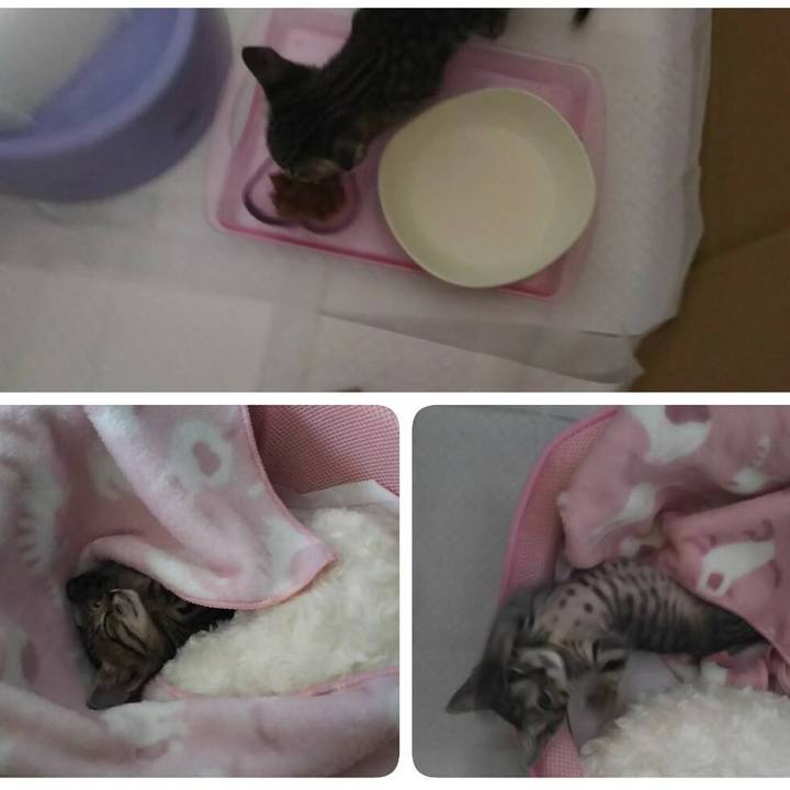 B3101455 af63 4e6e 9c47 4af78e5e12a3 1534070393590