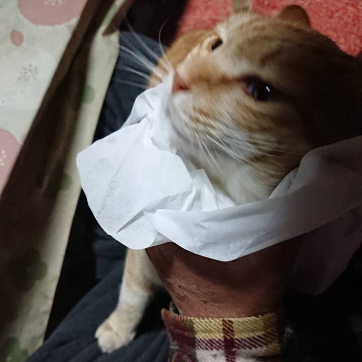 B3102179 bf0e 40fb b179 a4b1c3d86481 1586119957291