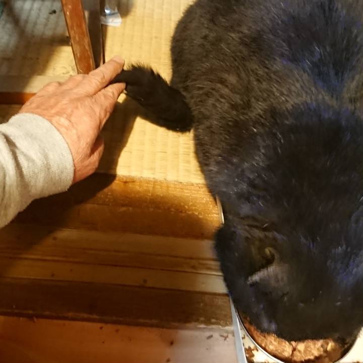 B310485b e36a 4a0f 81f1 ce5be2fd6c4a 1617099605136