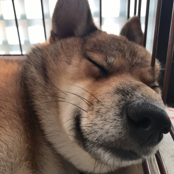 B310608e a29e 4dee b1e1 71acb56414ff 1551960129825