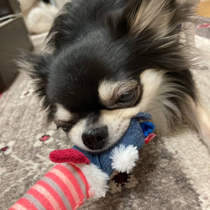 B3107cbe ab7e 48d1 97cc f5b69a4c2cb7 1615610839897