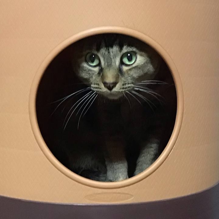 B3109d37 8359 4402 917e 434ab44a8346 1745756531688