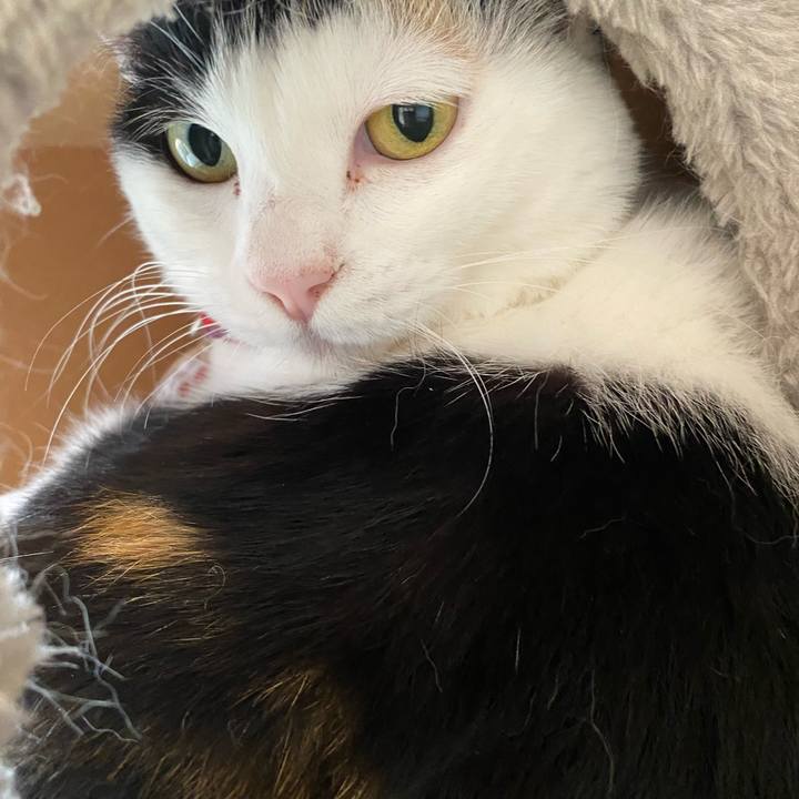 B310b979 05a3 4f5d bb05 4faa414f3faf 1713087380890