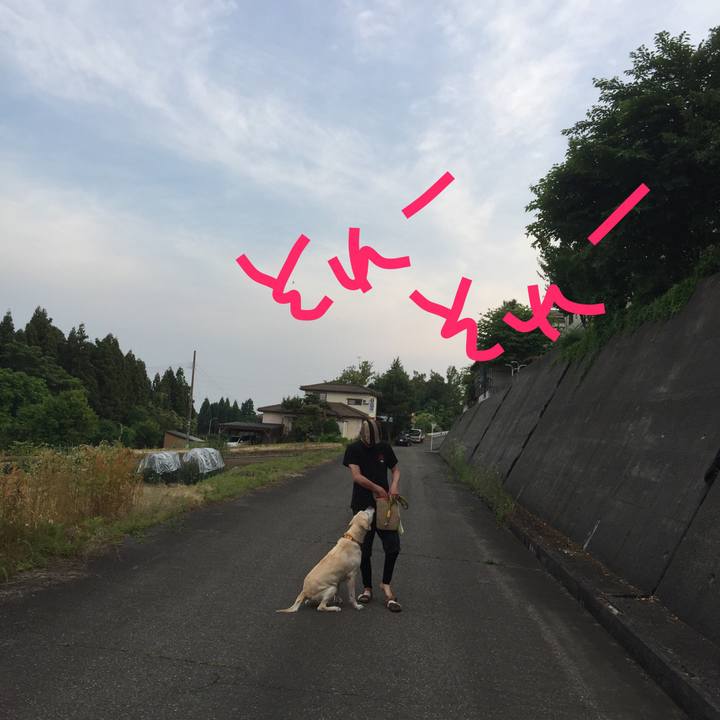 B310ea0a 6a94 44bf 9889 aa7502fd981e 1584239630566