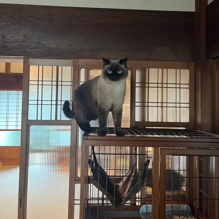 B310ef49 7cd3 4341 960f 407a0bd4a8bb 1666846424344