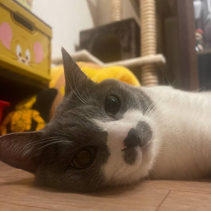 B310f2b4 f95a 4775 be1b 35822ed2c84f 1695604220636