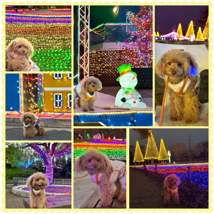 B3110489 55e7 4b29 b7b1 8bc3801384c1 1764642662331