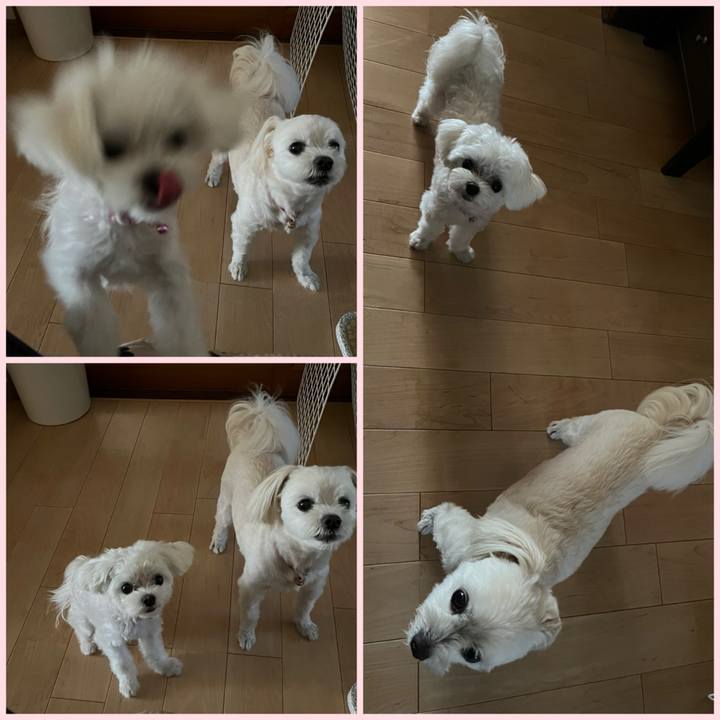 B3110616 5653 433f 8f0c 2d4b4037baed 1720145511655