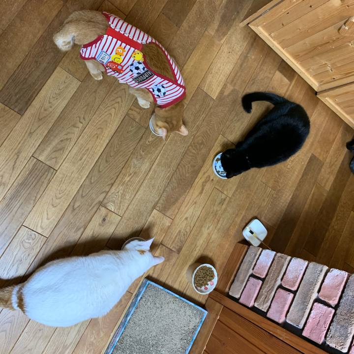 B31107d9 e7a0 4231 b96e 8c8b32c384f5 1577398846009