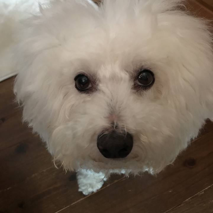 B3114c2d b6d3 4463 9ac9 ae0b7a02f67d 1556078535244