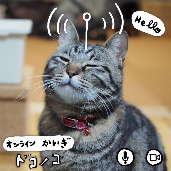 B3117009 c315 49d7 bfef e0262f41c8ad 1590764295285