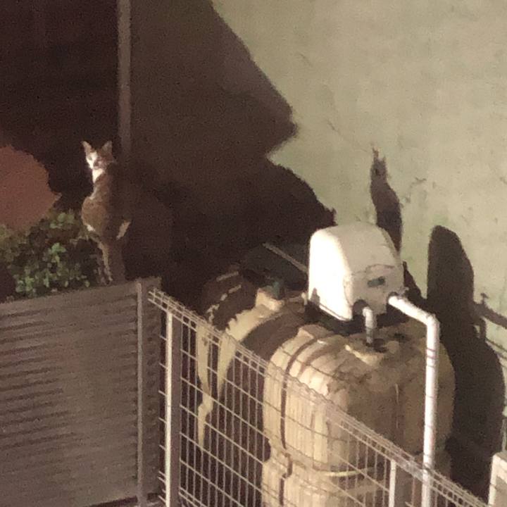 B31187c9 2354 4d93 b6d9 efd659aa8edb 1599973098441