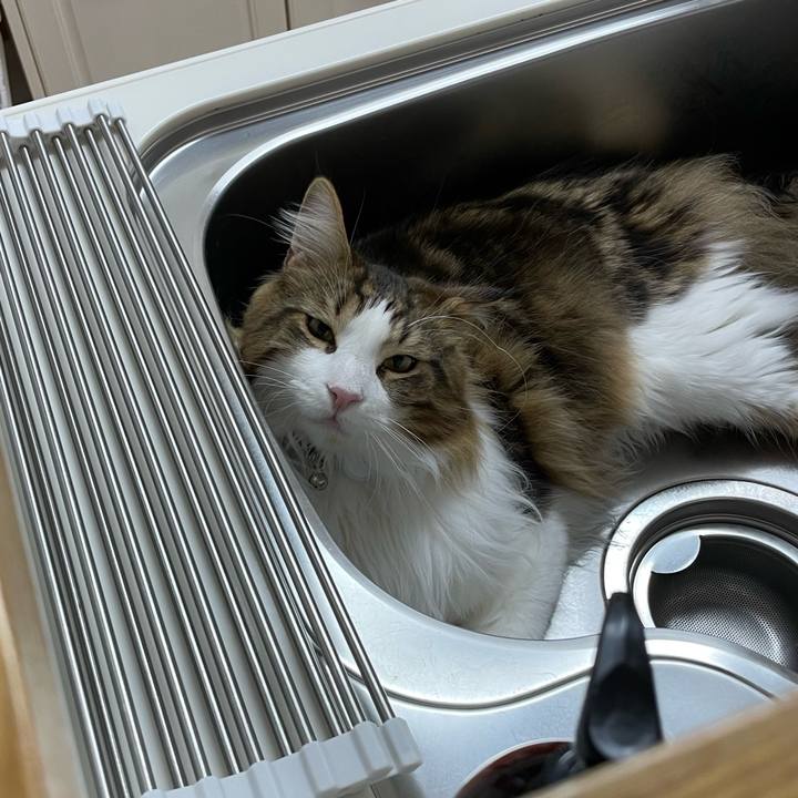 B311d80b c49d 433a 8e8f 4b8de125bea3 1651695557929