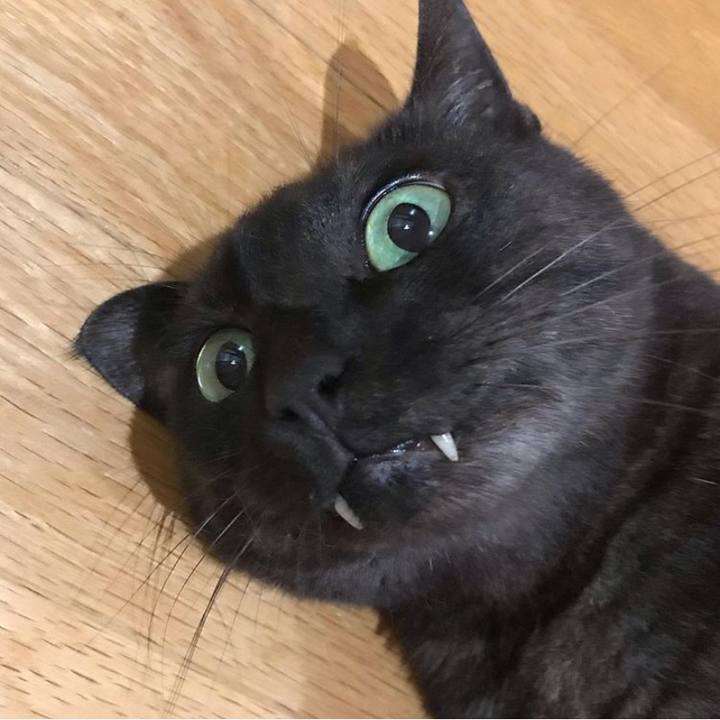 B3120b96 f08a 4f72 b153 48e492ca0476 1600205804746