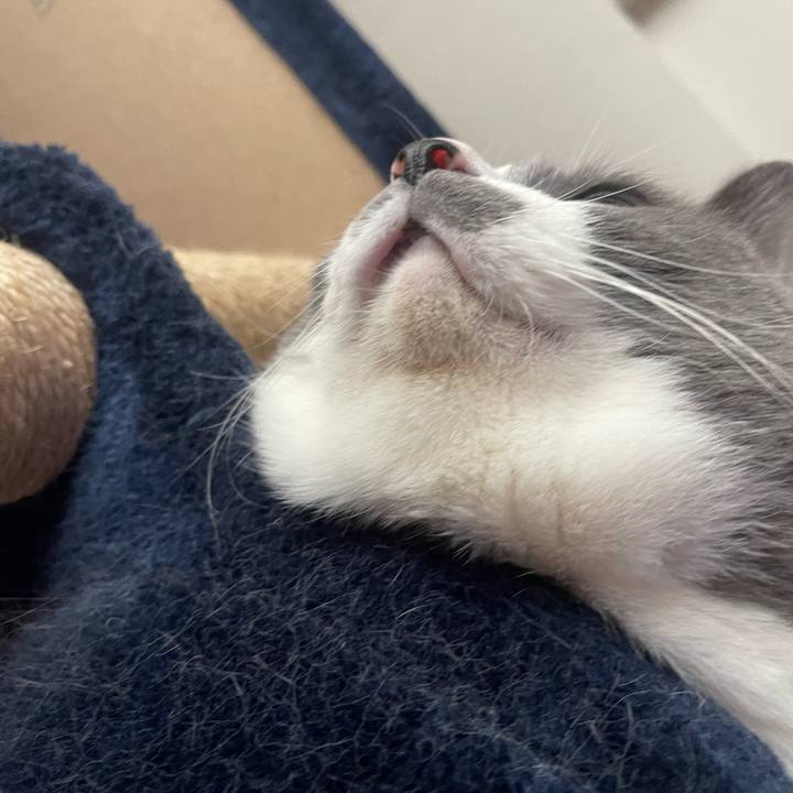 B3122ab5 d1ec 400b b90b c44f61472247 1741649645868