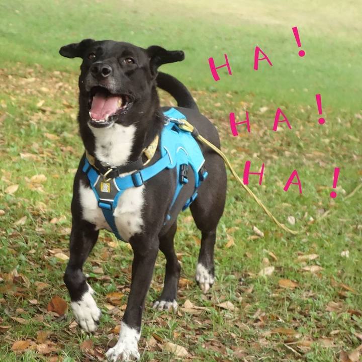 B31245f2 bf00 41a9 9e19 1b1ca24da8d6 1603844641127