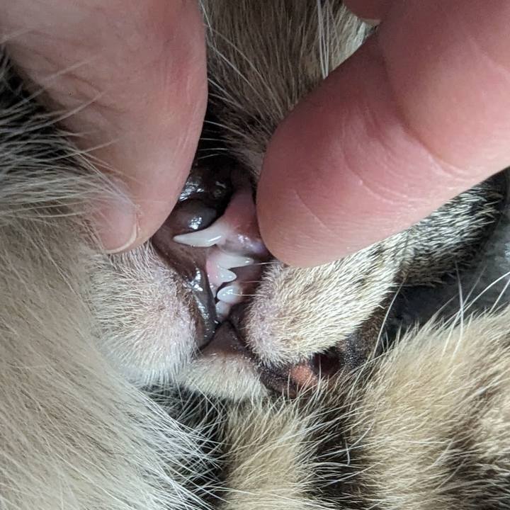 B3125c8e a7b3 45dd 9961 2048636c4776 1707970976851