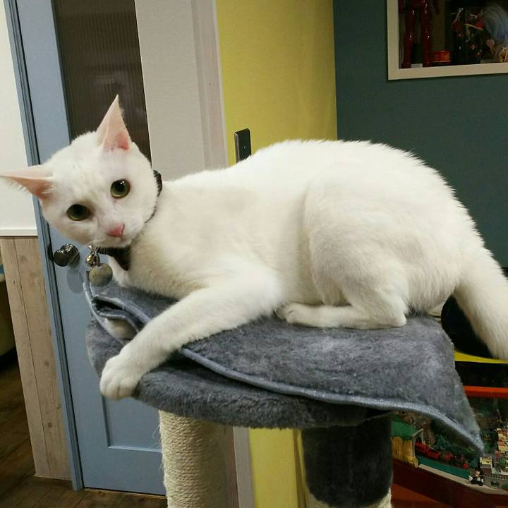 B3126b7d 5c4e 4b2a 812b 9d27676ee717 1516379147165