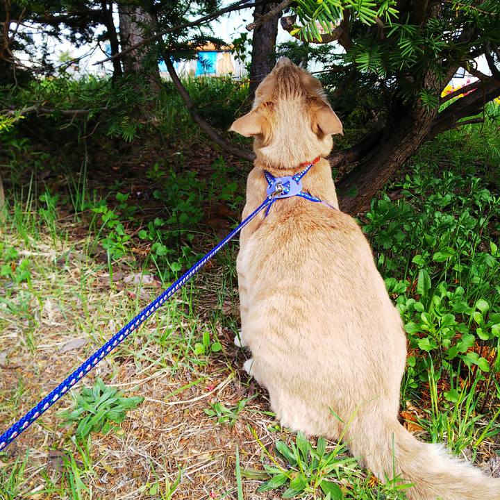 B3128798 ec7a 494a 9753 41e9739a8a09 1589616042089