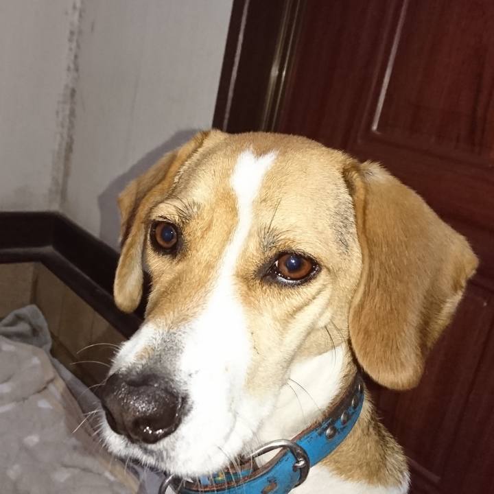 B3128924 744a 4697 8ab4 cf56d6a5e95b 1575021995331