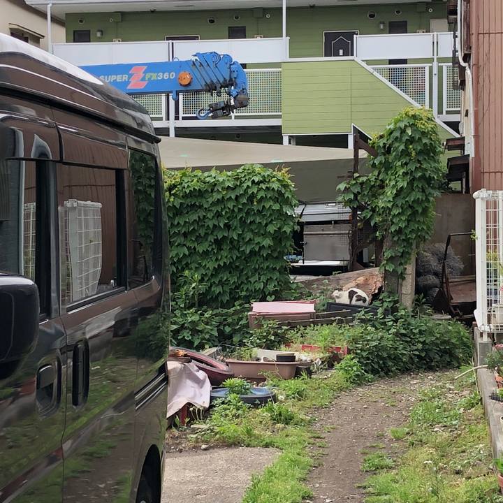 B3129b04 f220 455a 83b7 4e149fdc4c57 1525790563238